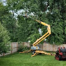 Best Tree Health Inspection  in Pleasantville, NJ