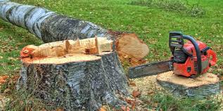 Best Tree Mulching  in Pleasantville, NJ
