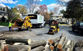 Best Arborist Consultation Services  in Pleasantville, NJ