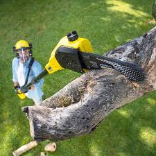 Best Pest Control for Lawns  in Pleasantville, NJ