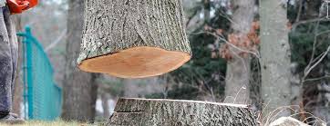 Best Emergency Tree Removal  in Pleasantville, NJ